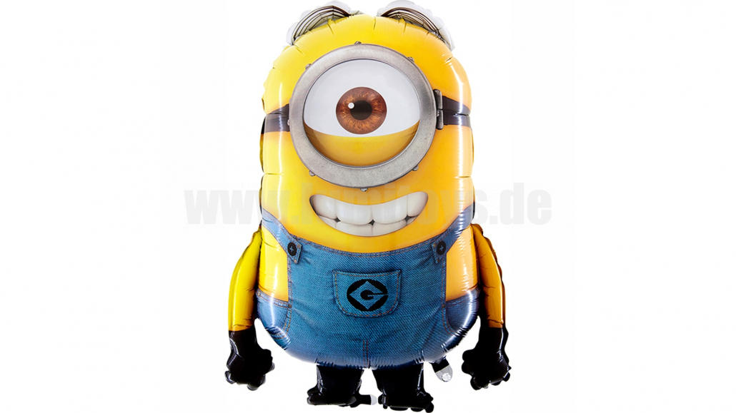 Steward_wz-kl Steward_wz-kl